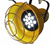 Fostoria LED Light Head