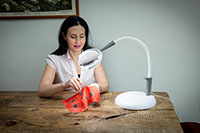 Magnificent Pro™ 3-in-1 Magnifying Lamps - 10